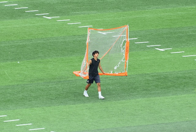 结语 结语
