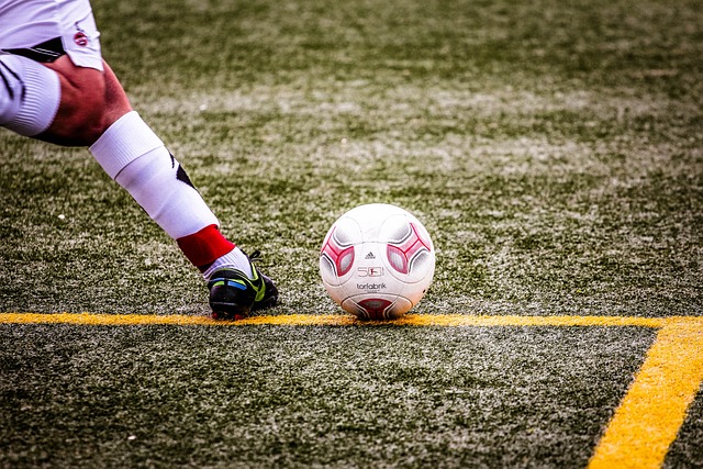 作为新的进 作为新的进