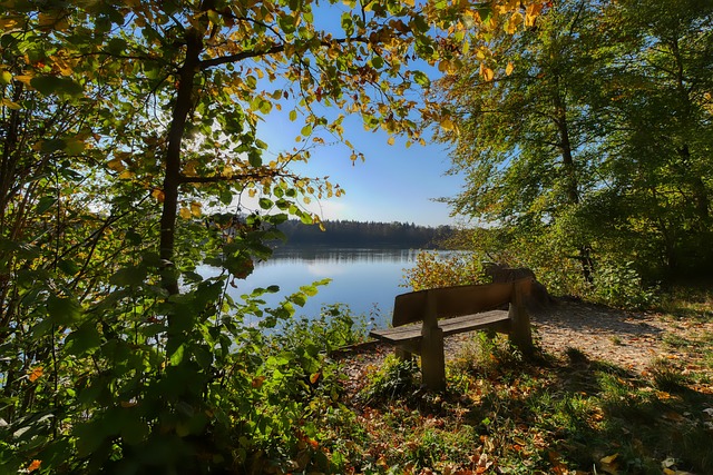 在比赛中 在比赛中