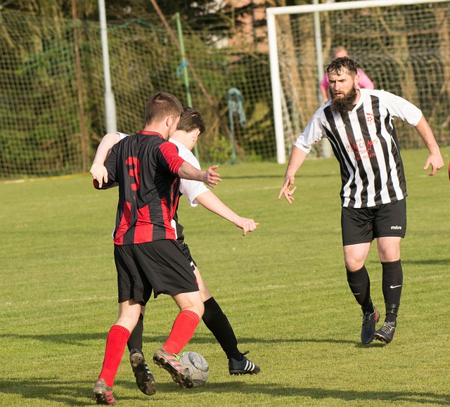 曼联未来的 曼联未来的