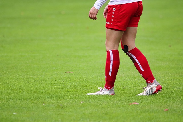 案例分析 案例分析