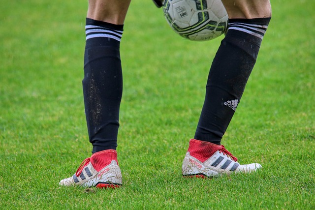 是否会不同 是否会不同