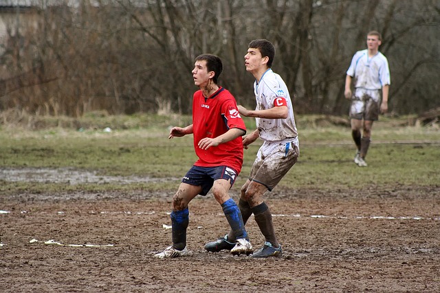 这一表现不 这一表现不