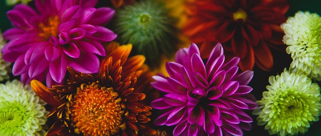 而李凯则凭 而李凯则凭