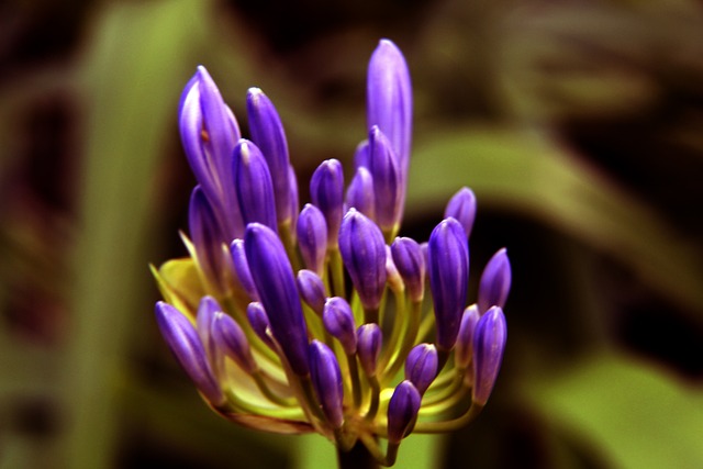 从而压制了 从而压制了